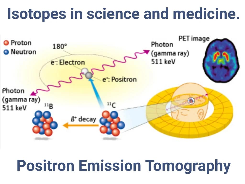 Positron Emission Tomography Diagram explaining positron emission tomography (PET) with labeled protons and neutrons, isotopes of basic atomic structure used in PET scans, positron emission