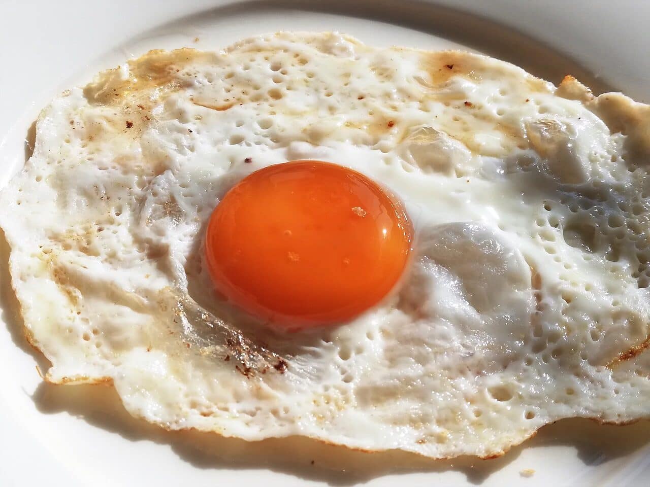 tempImagedlv35Q cooking chemistry denaturated protein in a fried egg