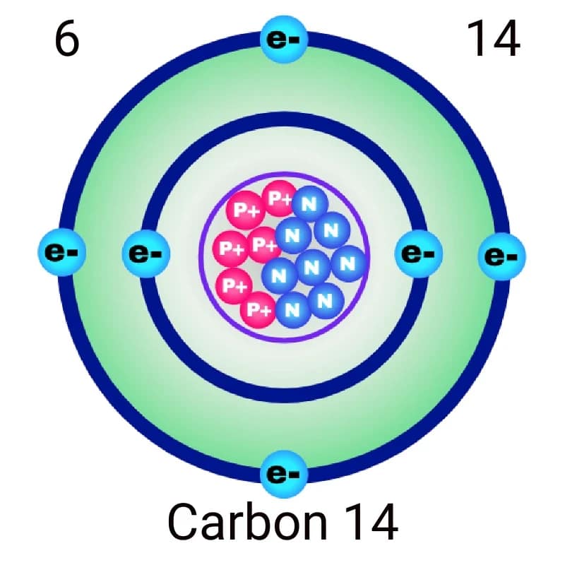 Carbon14 800x800 px Diagram of a carbon-14 isotope showing basic atomic structure: 6 protons and 8 neutrons in the nucleus, with 6 electrons orbiting in two shells, labeled with atomic and mass numbers.